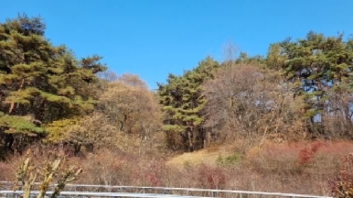 전북특별자치도 순창군 구림면 자양리 산112 임야 경매 사진 4