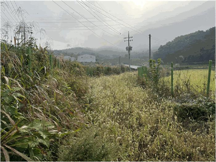 전북특별자치도 남원시 주천면 송치리 390-6 잡종지 경매 사진 1