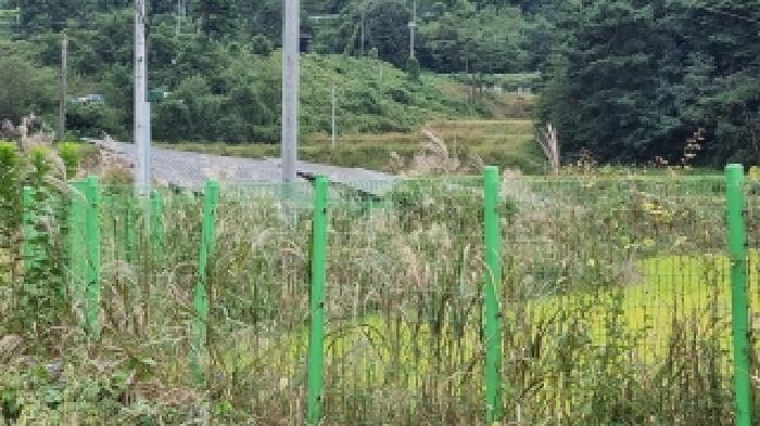 전북특별자치도 남원시 주천면 송치리 390-6 잡종지 경매 사진 6