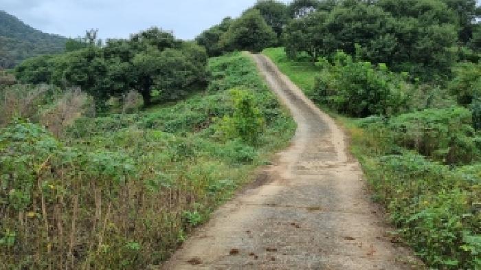 전북특별자치도 순창군 동계면 서호리 산106 임야 경매 사진 13