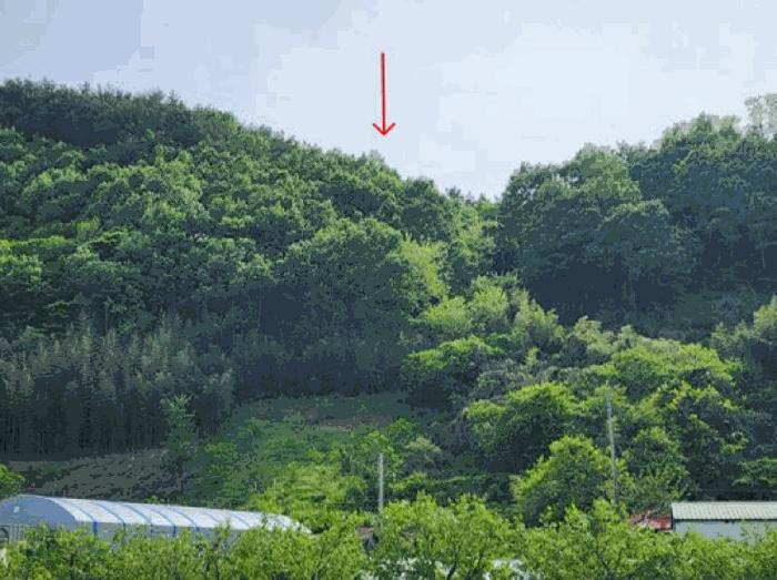 경상남도 하동군 답