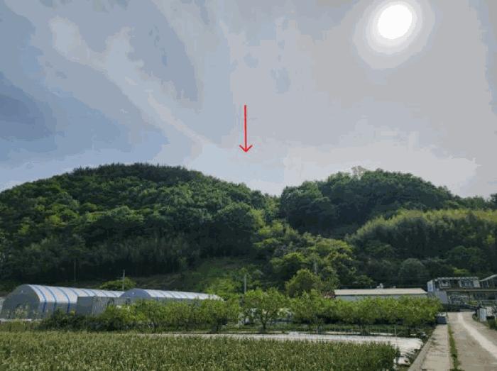 경상남도 하동군 하동읍 신기리 103-119 답 경매 사진 3