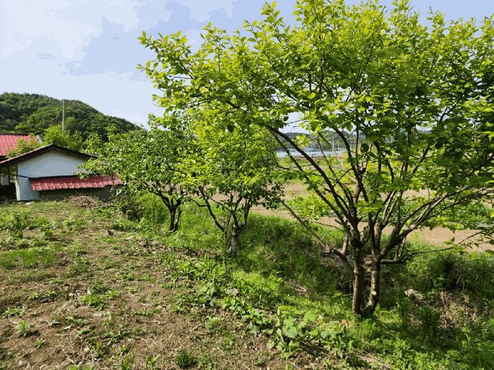 경상남도 하동군 하동읍 신기리 103-119 답 경매 사진 5