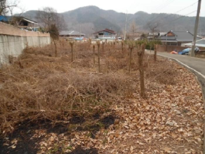 전북특별자치도 완주군 소양면 황운리 290-1 답 경매 사진 7