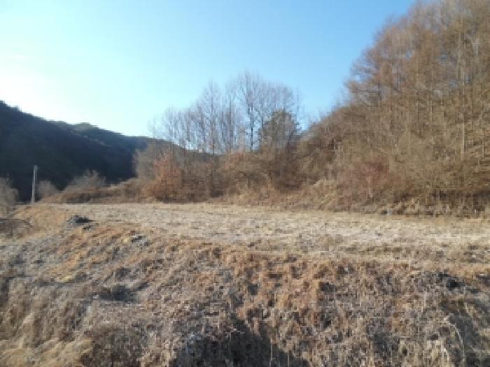 전북특별자치도 진안군 백운면 노촌리 328 답 경매 사진 6