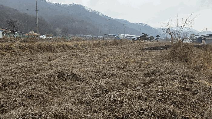 전북특별자치도 완주군 화산면 우월리 357-3 주택 경매 사진 12