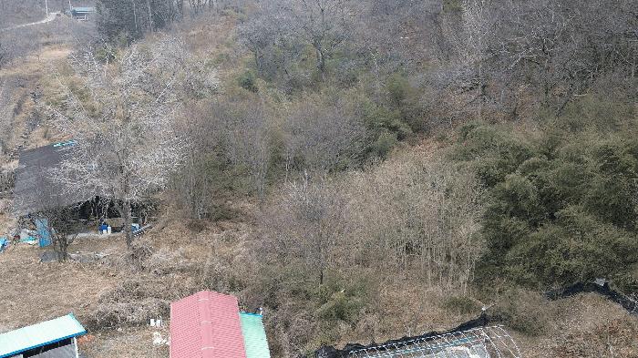 전북특별자치도 완주군 화산면 우월리 496 답 경매 사진 13