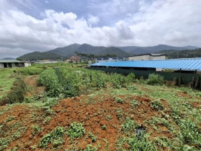 경상남도 남해군 삼동면 영지리 1185 답 경매 사진 7