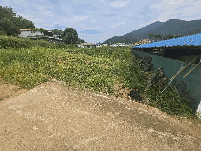 경상남도 남해군 삼동면 영지리 2093 답 경매 사진 1