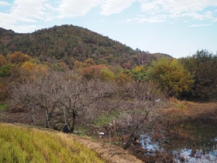 경상남도 밀양시 부북면 청운리 247 유지 경매 사진 18