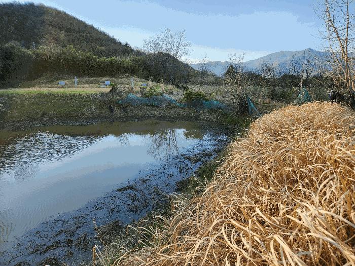 경상남도 밀양시 부북면 청운리 247 유지 경매 사진 4