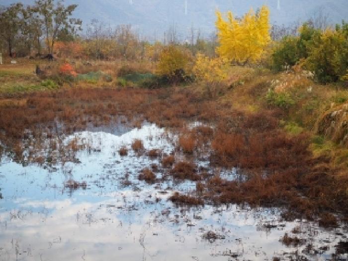 경상남도 밀양시 부북면 청운리 292 대지 경매 사진 14