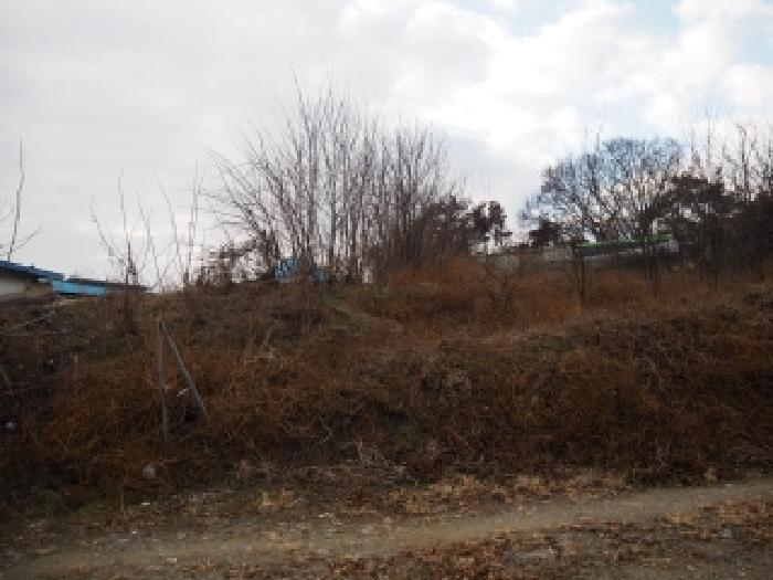 경상남도 창녕군 영산면 월령리 1075 전 경매 사진 10