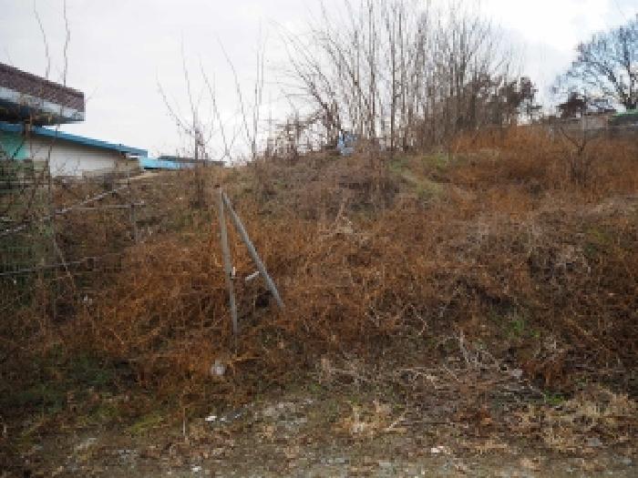 경상남도 창녕군 영산면 월령리 1075 전 경매 사진 7