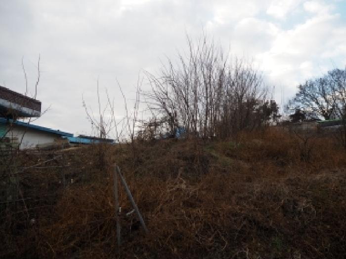 경상남도 창녕군 영산면 월령리 1075 전 경매 사진 8