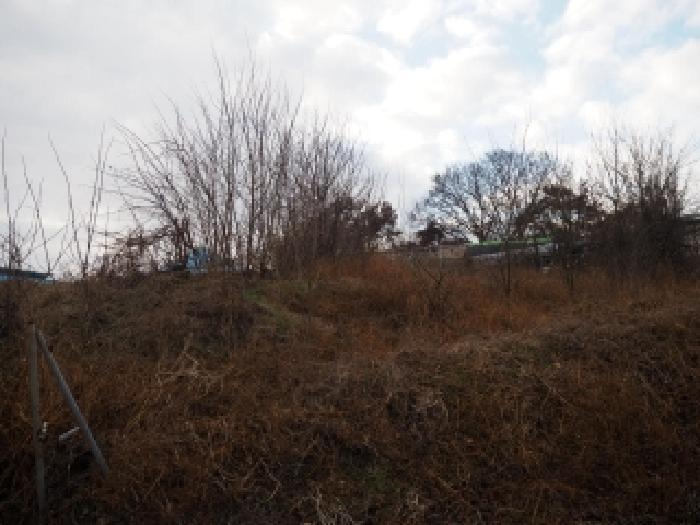 경상남도 창녕군 영산면 월령리 1075 전 경매 사진 9
