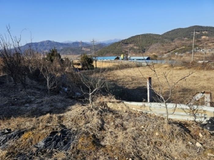 경상남도 산청군 금서면 신아리 133 전 경매 사진 3