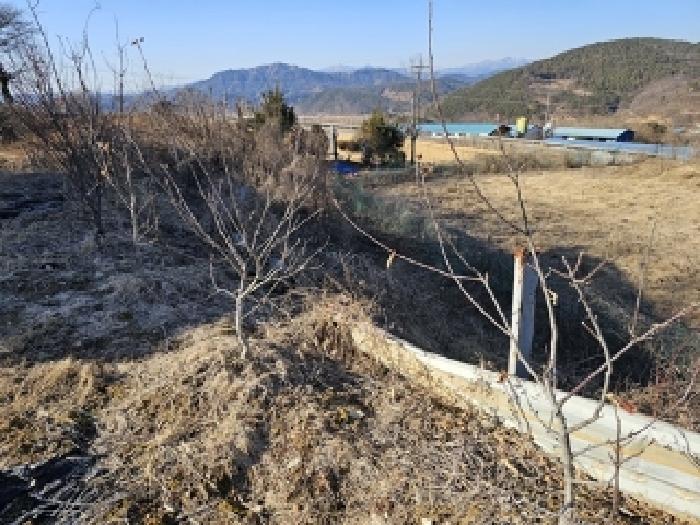 경상남도 산청군 금서면 신아리 133 전 경매 사진 4