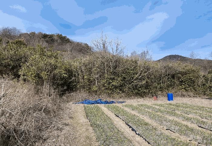 경상남도 산청군 생초면 월곡리 598-1 답 경매 사진 17