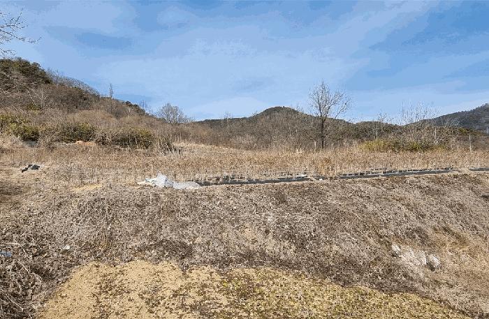 경상남도 산청군 생초면 월곡리 599-1 답 경매 사진 13