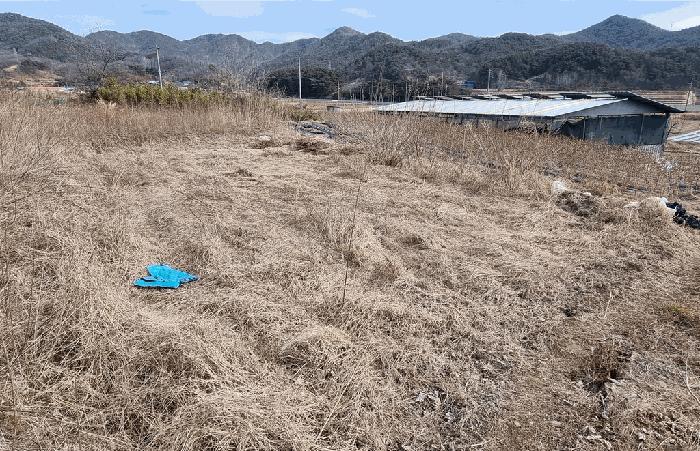 경상남도 산청군 생초면 월곡리 599-1 답 경매 사진 15