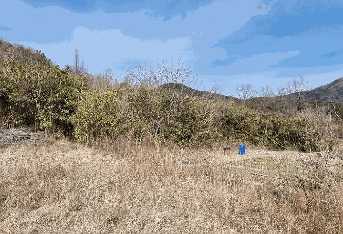 경상남도 산청군 생초면 월곡리 599-1 답 경매 사진 16