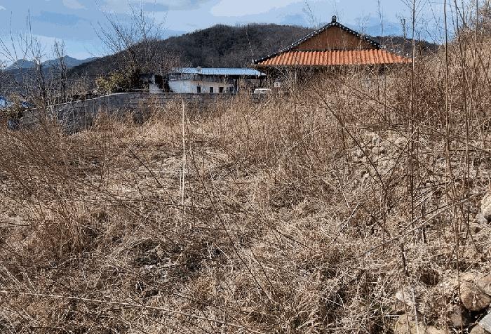 경상남도 산청군 생초면 월곡리 599-1 답 경매 사진 19