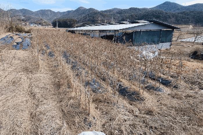 경상남도 산청군 생초면 월곡리 1391 전 경매 사진 14