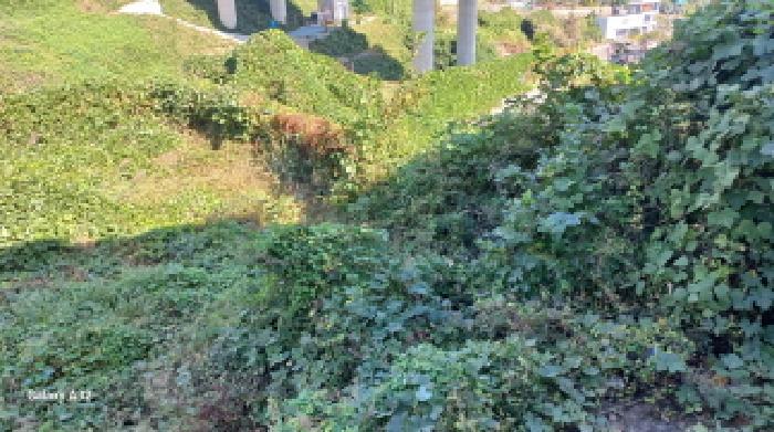 경상남도 거제시 장목면 외포리 540-2 펜션(캠핑장) 경매 사진 5