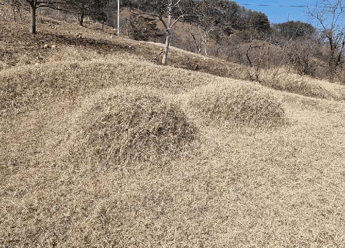 경상남도 산청군 삼장면 대포리 318-3 답 경매 사진 1