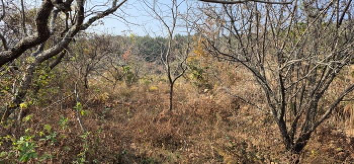 경상남도 고성군 삼산면 미룡리 885 전 경매 사진 10