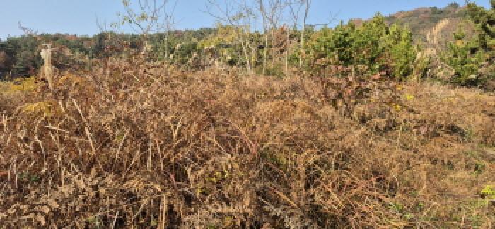경상남도 고성군 삼산면 미룡리 885 전 경매 사진 14