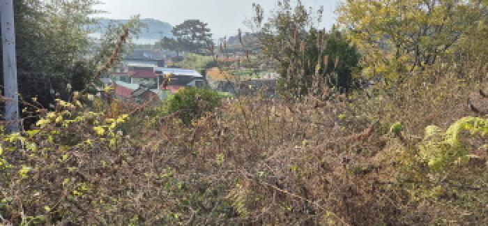 경상남도 고성군 삼산면 미룡리 885 전 경매 사진 17