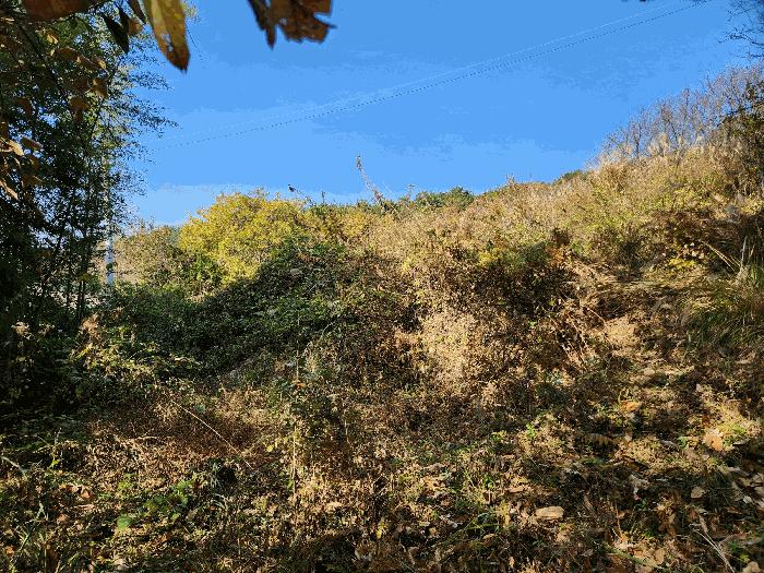 경상남도 고성군 삼산면 미룡리 885 전 경매 사진 7