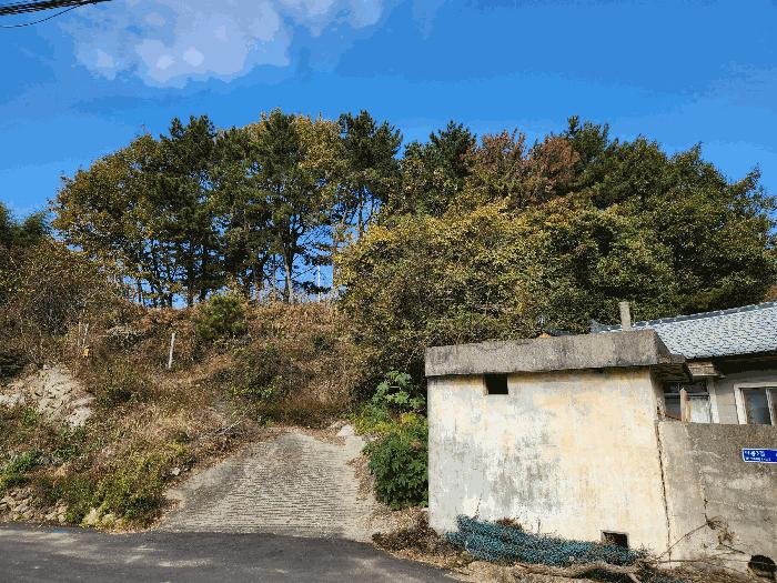 경상남도 고성군 삼산면 미룡리 885 전 경매 사진 8