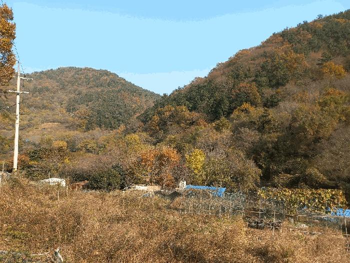 경상남도 거제시 연초면 죽토리 91 답 경매 사진 8