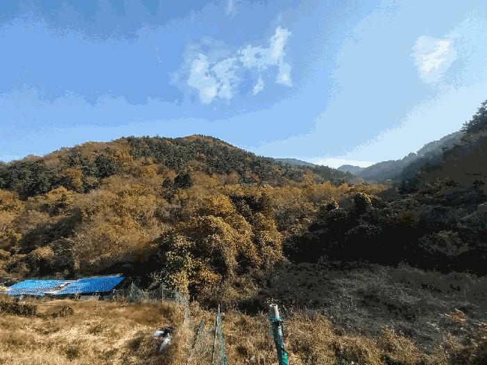 경상남도 거제시 연초면 죽토리 111-2 답 경매 사진 7