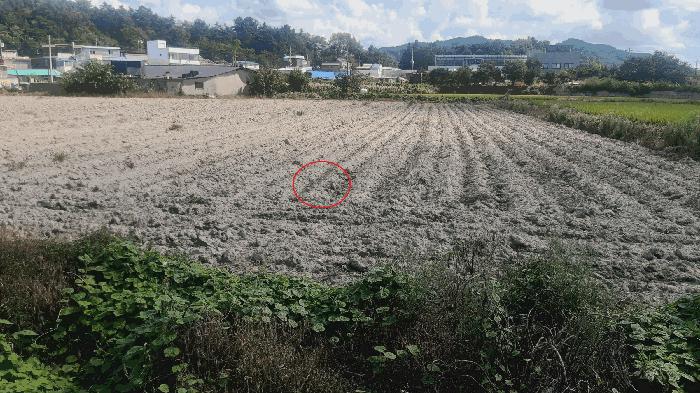 전북특별자치도 김제시 금산면 원평리 54-1 답 경매 사진 1