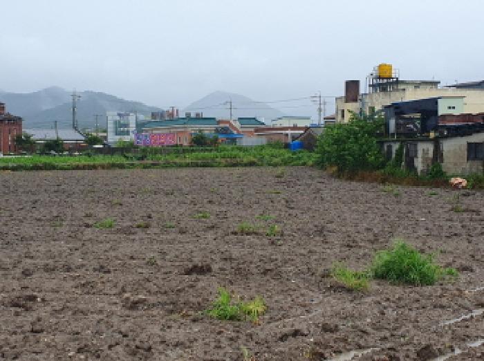 전북특별자치도 김제시 금산면 원평리 54-1 답 경매 사진 12
