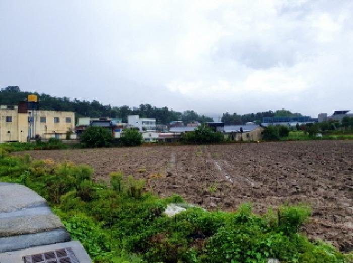 전북특별자치도 김제시 금산면 원평리 54-1 답 경매 사진 14