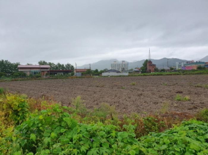 전북특별자치도 김제시 금산면 원평리 54-1 답 경매 사진 19