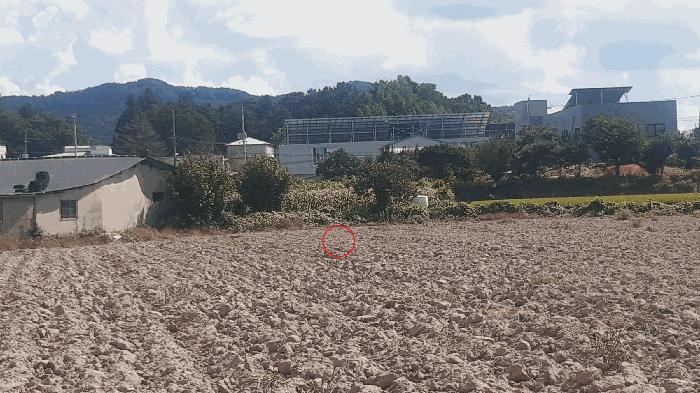 전북특별자치도 김제시 금산면 원평리 54-1 답 경매 사진 2