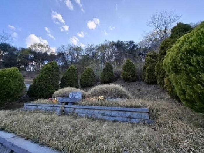 경상남도 진주시 명석면 오미리 산283-4 임야 경매 사진 20
