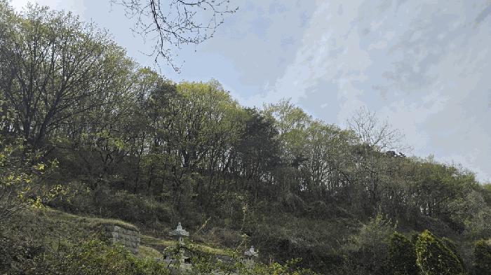 경상남도 사천시 곤명면 본촌리 571 전 경매 사진 14