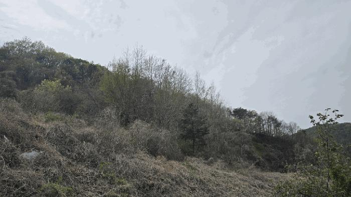 경상남도 사천시 곤명면 본촌리 571 전 경매 사진 17