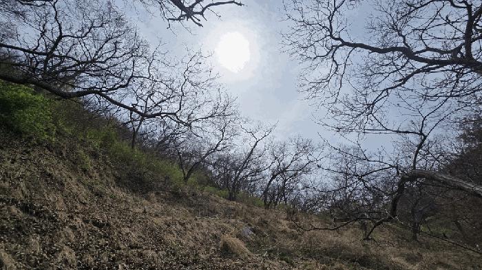 경상남도 사천시 곤명면 본촌리 571 전 경매 사진 18