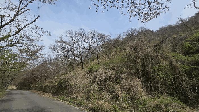 경상남도 사천시 곤명면 본촌리 571 전 경매 사진 6