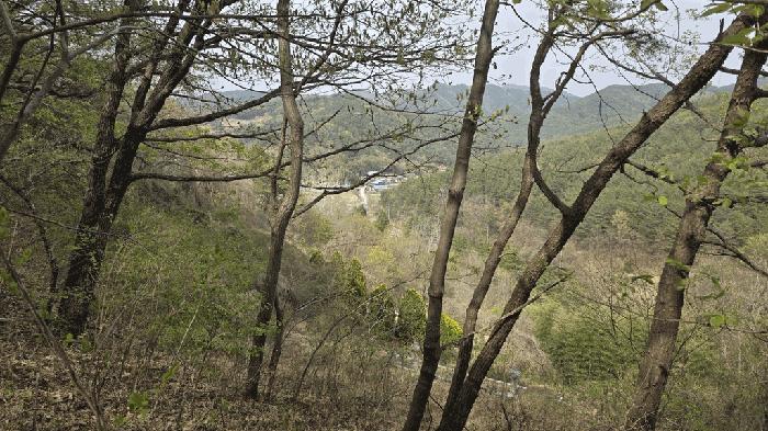 경상남도 사천시 곤명면 본촌리 581 임야 경매 사진 2