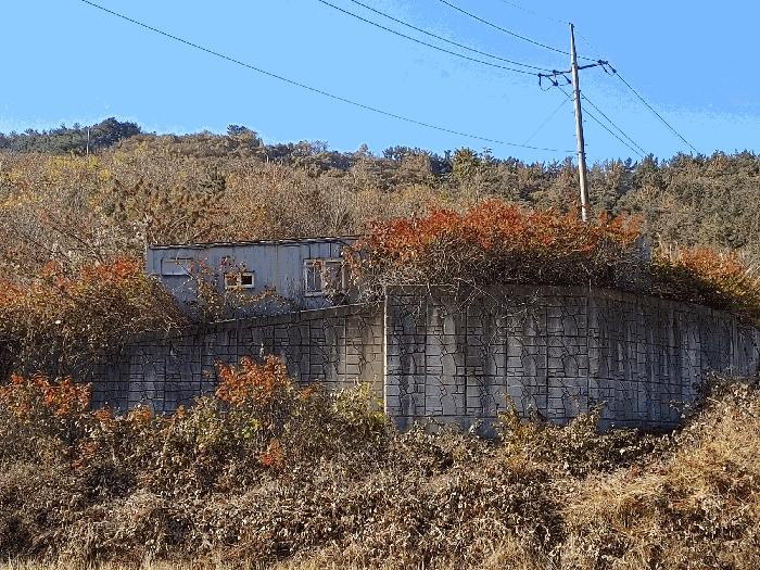 경상남도 창녕군 남지읍 시남리 산39 임야 경매 사진 4