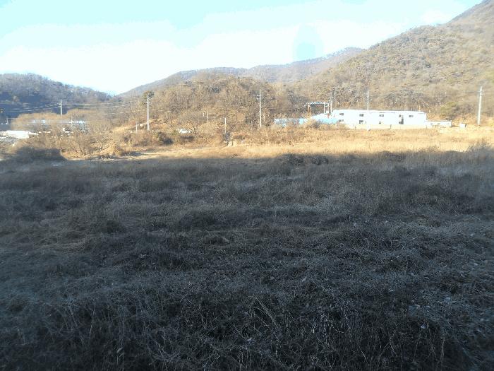 경상남도 밀양시 무안면 연상리 75-1 답 경매 사진 2